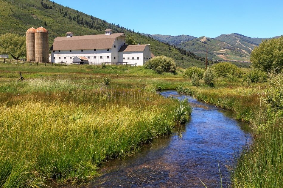 Stream in park city during summer